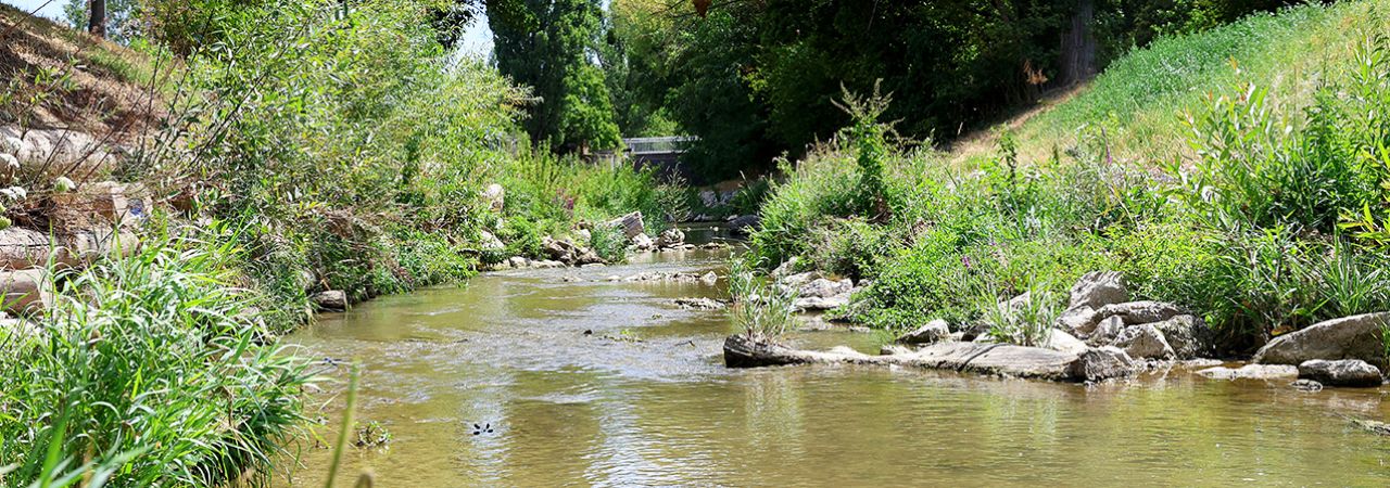 Integrativer Hochwasserschutz Liesingbach
