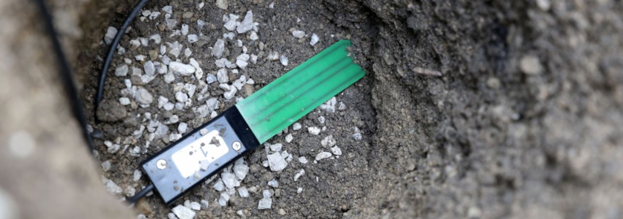 Kombinacijom podataka iz zemlje i iz samog stabla moguće je gotovo savršeno odrediti optimalnu količinu i pravi trenutak za zalijevanje.